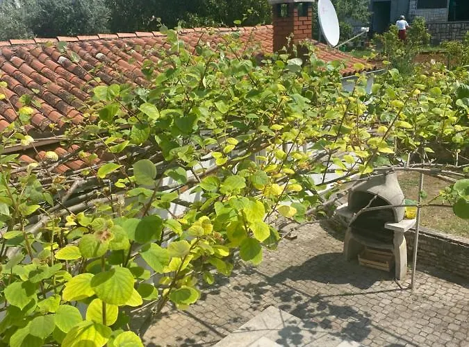 Nela Апартаменты *